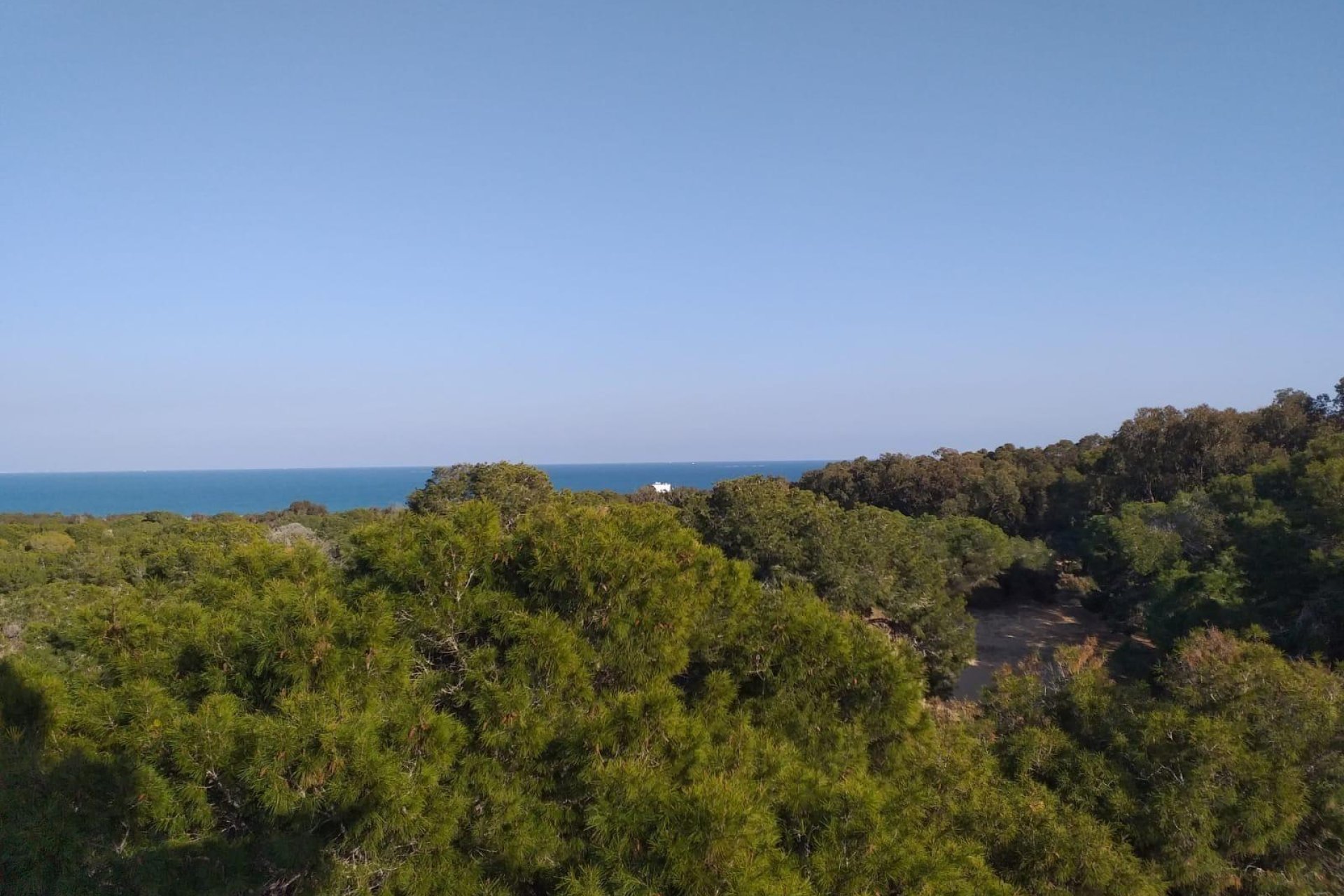 New Build - apartment -
Guardamar del Segura - Pueblo