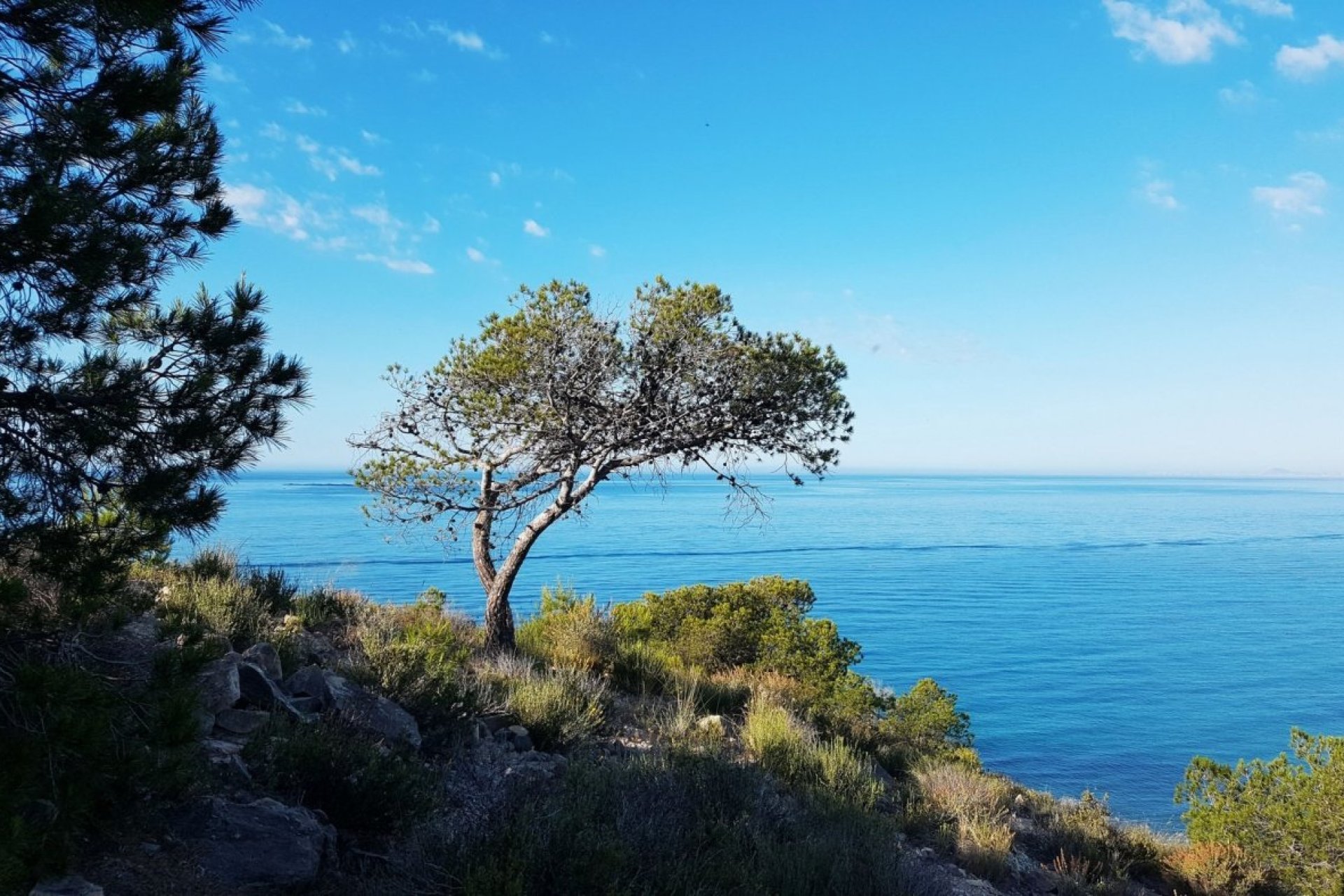 New Build - apartment -
Villajoyosa - Playa Les Torres