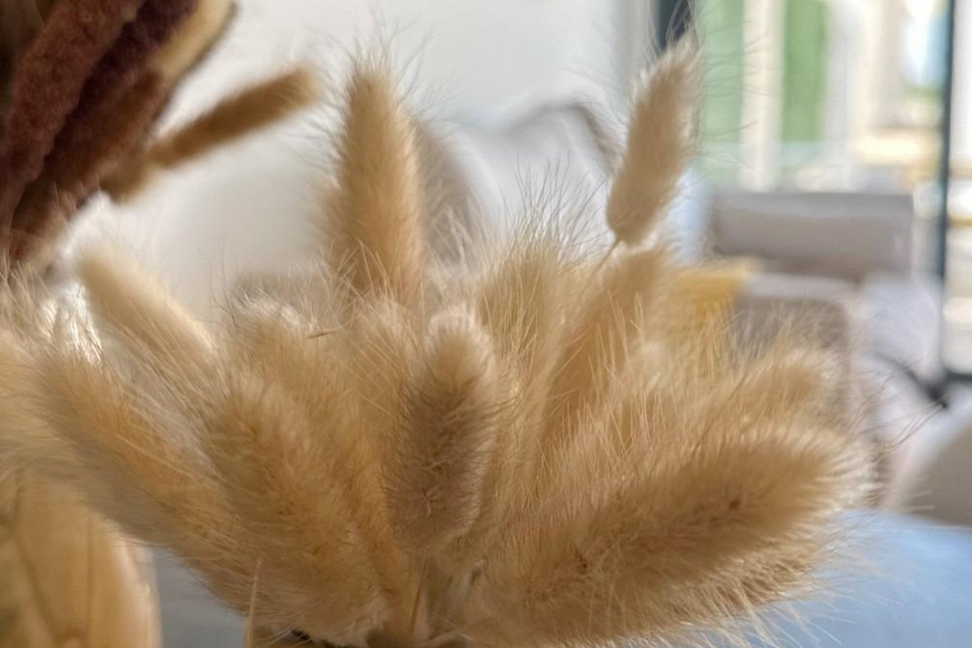 New Build - Bungalow -
San Fulgencio - Pueblo