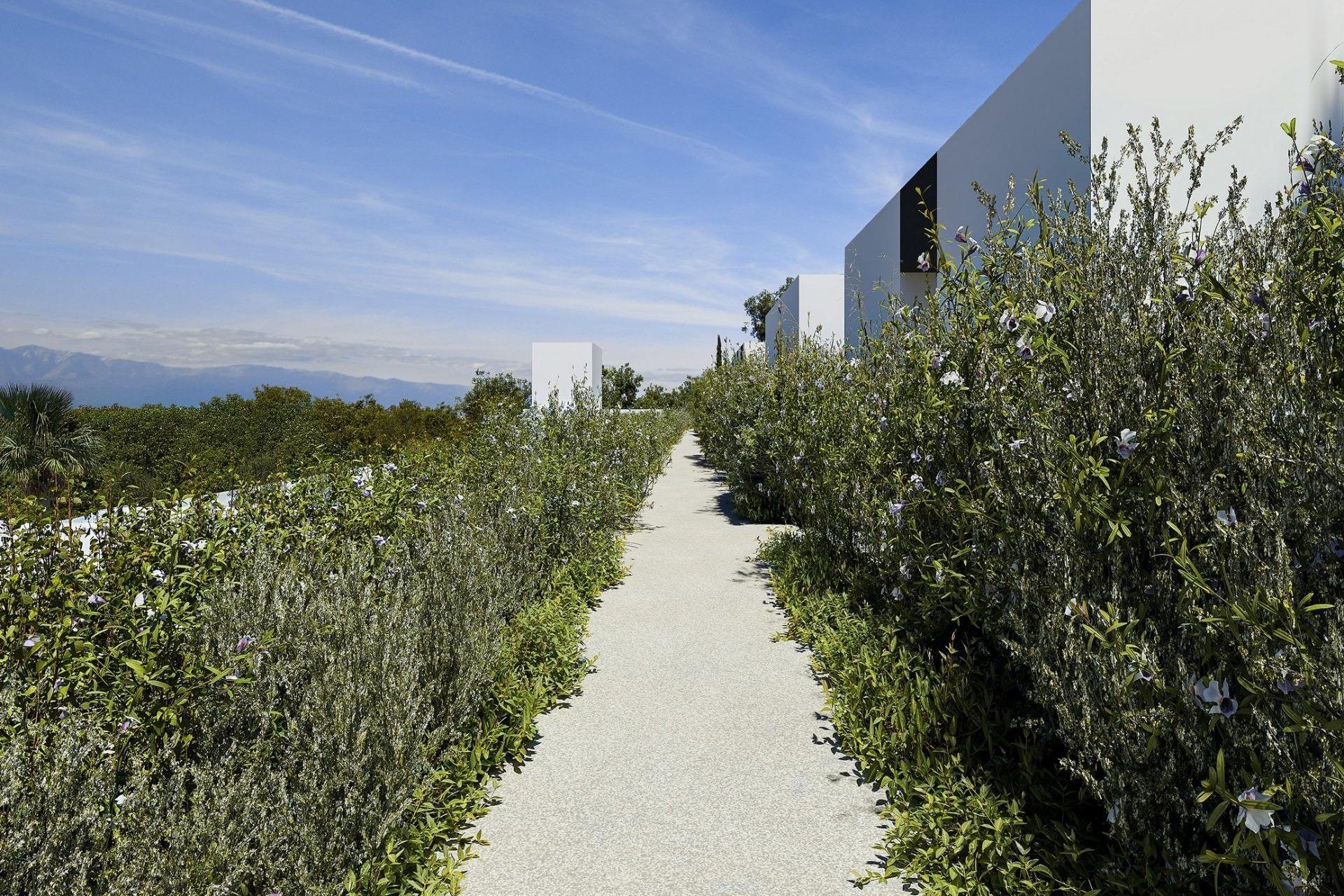 New Build - villa -
Alfas del Pí - Barranc Fondo