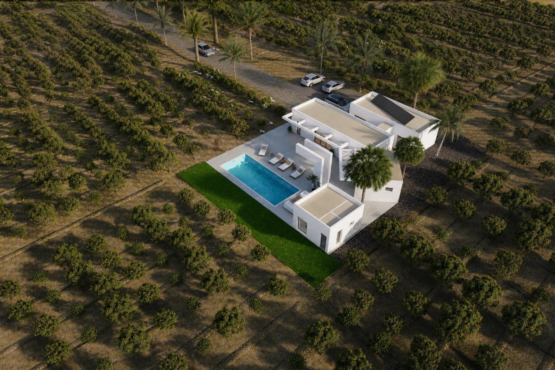 New Build - villa -
Benejúzar - alta
