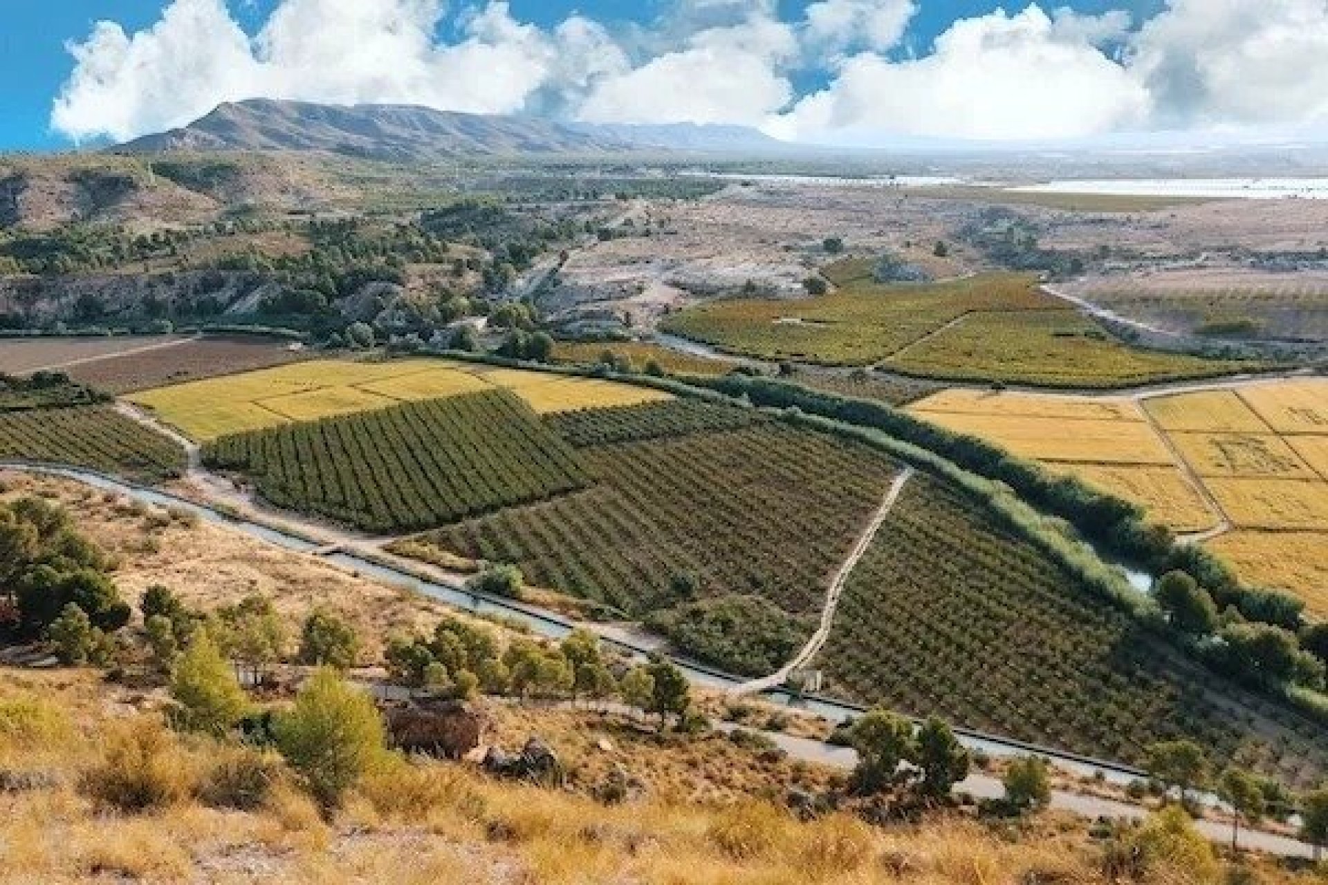 New Build - villa -
Calasparra - Coto Riñales