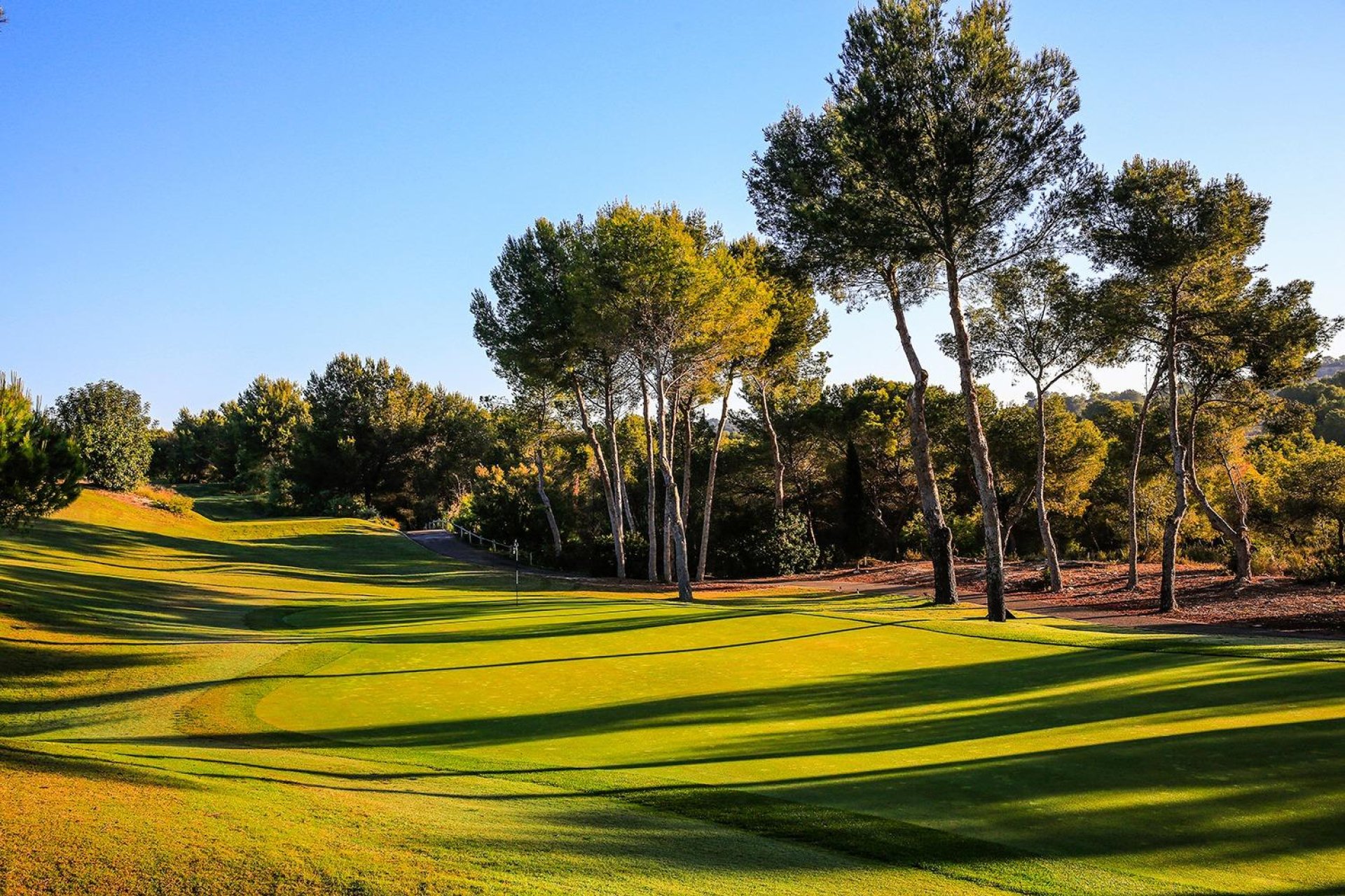 New Build - villa -
Orihuela - Las Colinas Golf