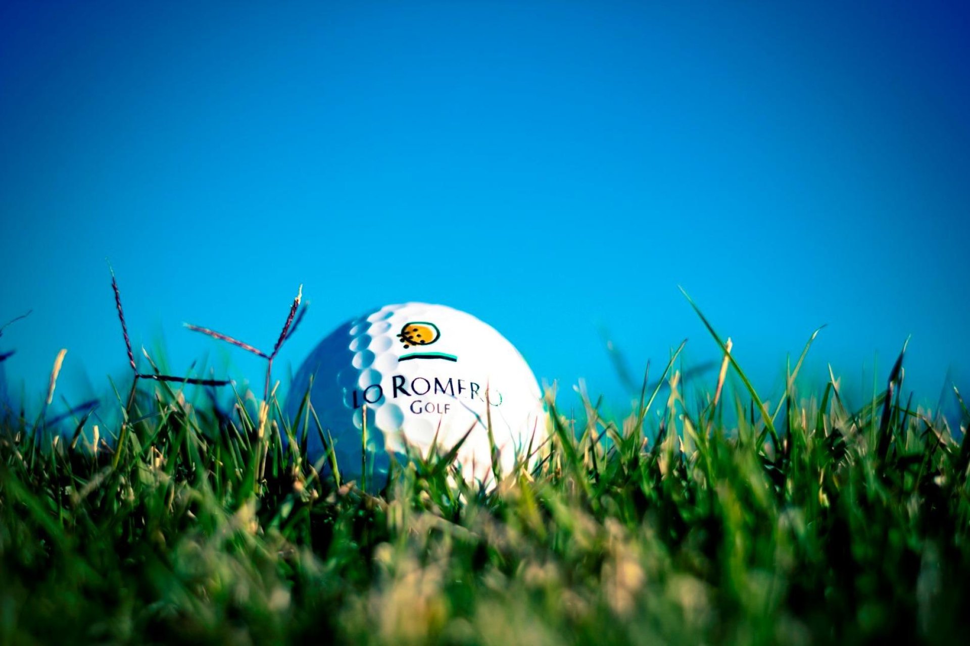 New Build - villa -
Pilar de la Horadada - Lo Romero Golf