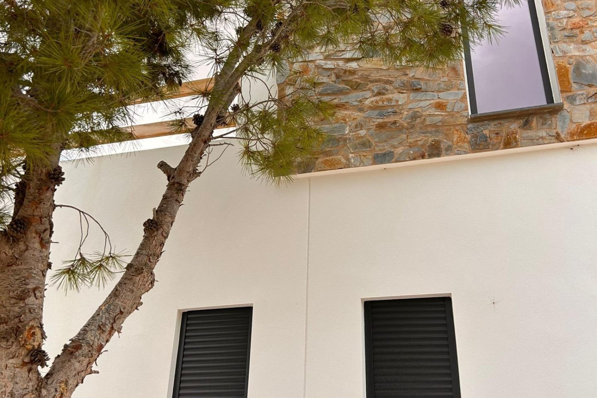 New Build - villa -
Pinoso - Casas Pastor