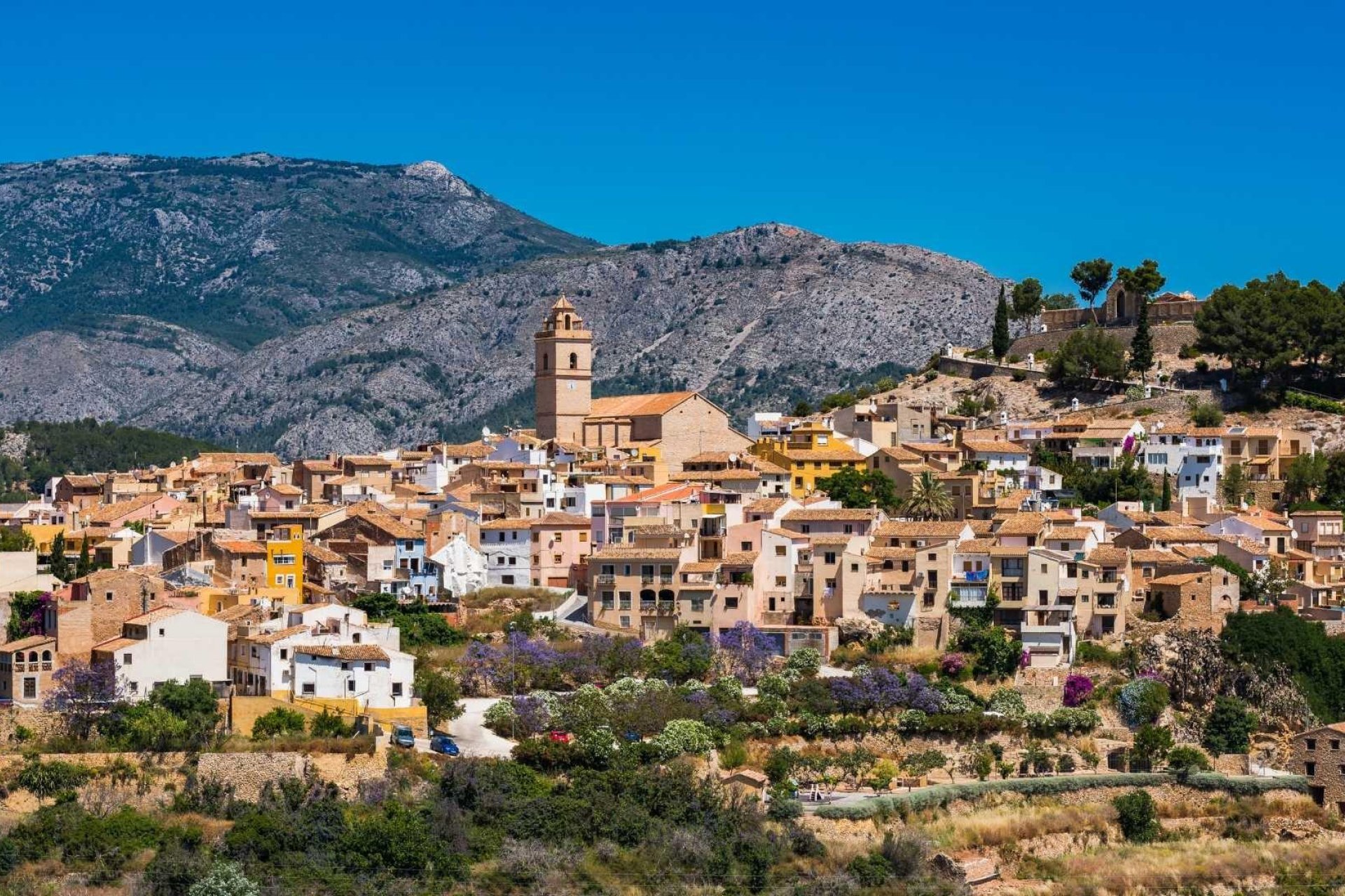 New Build - villa -
Polop - PAU1