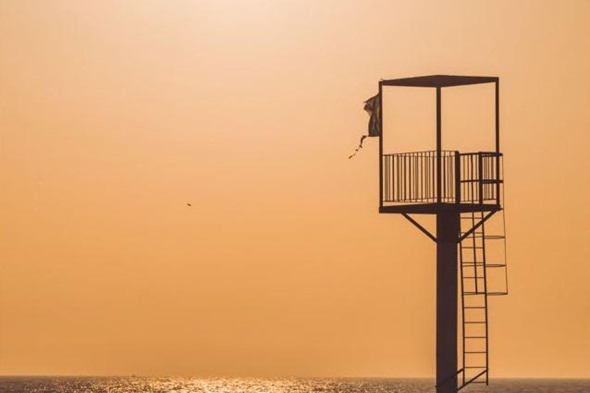 Nowy budynek - apartment -
Almerimar