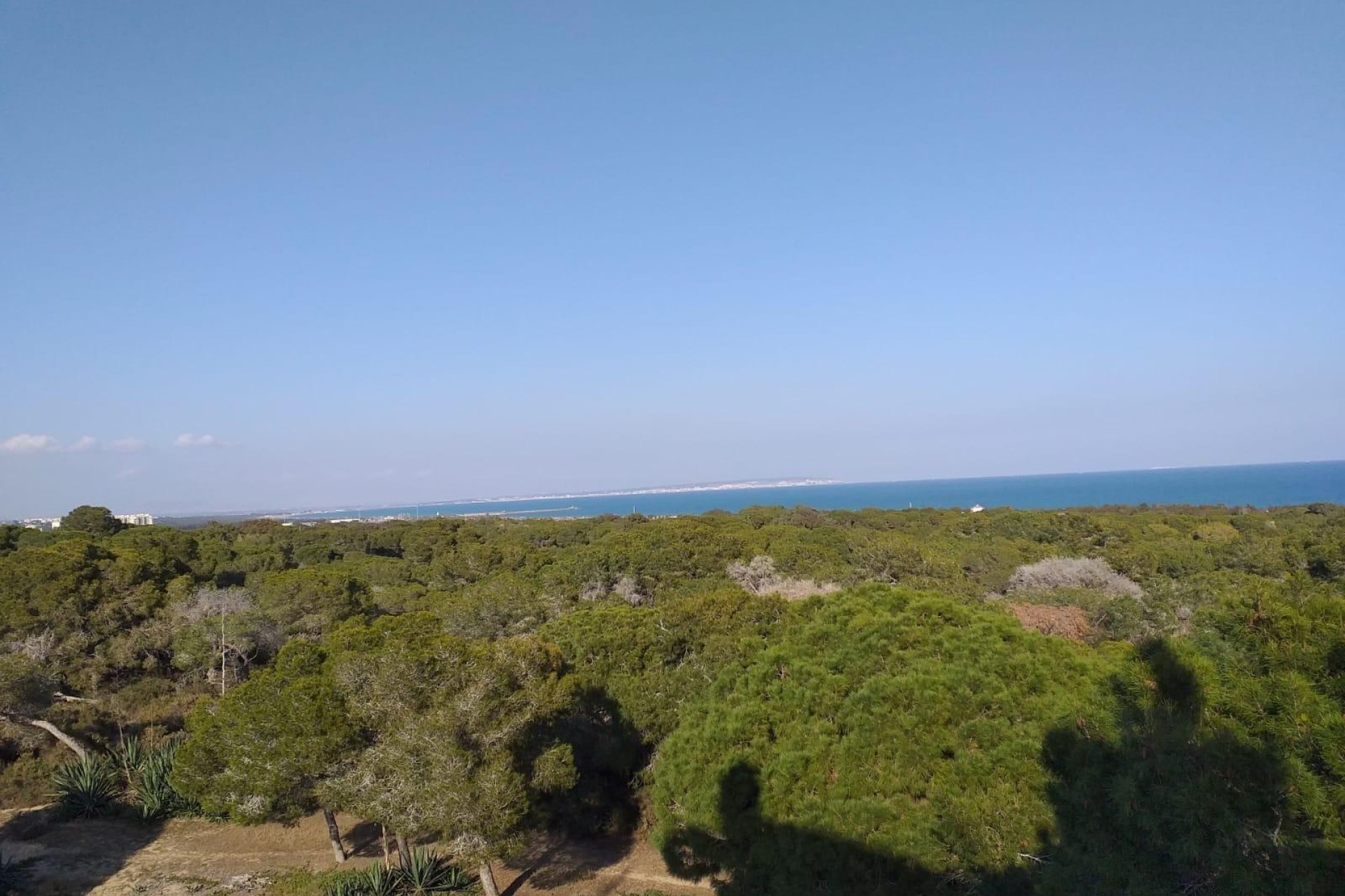 Nowy budynek - apartment -
Guardamar del Segura - Pueblo