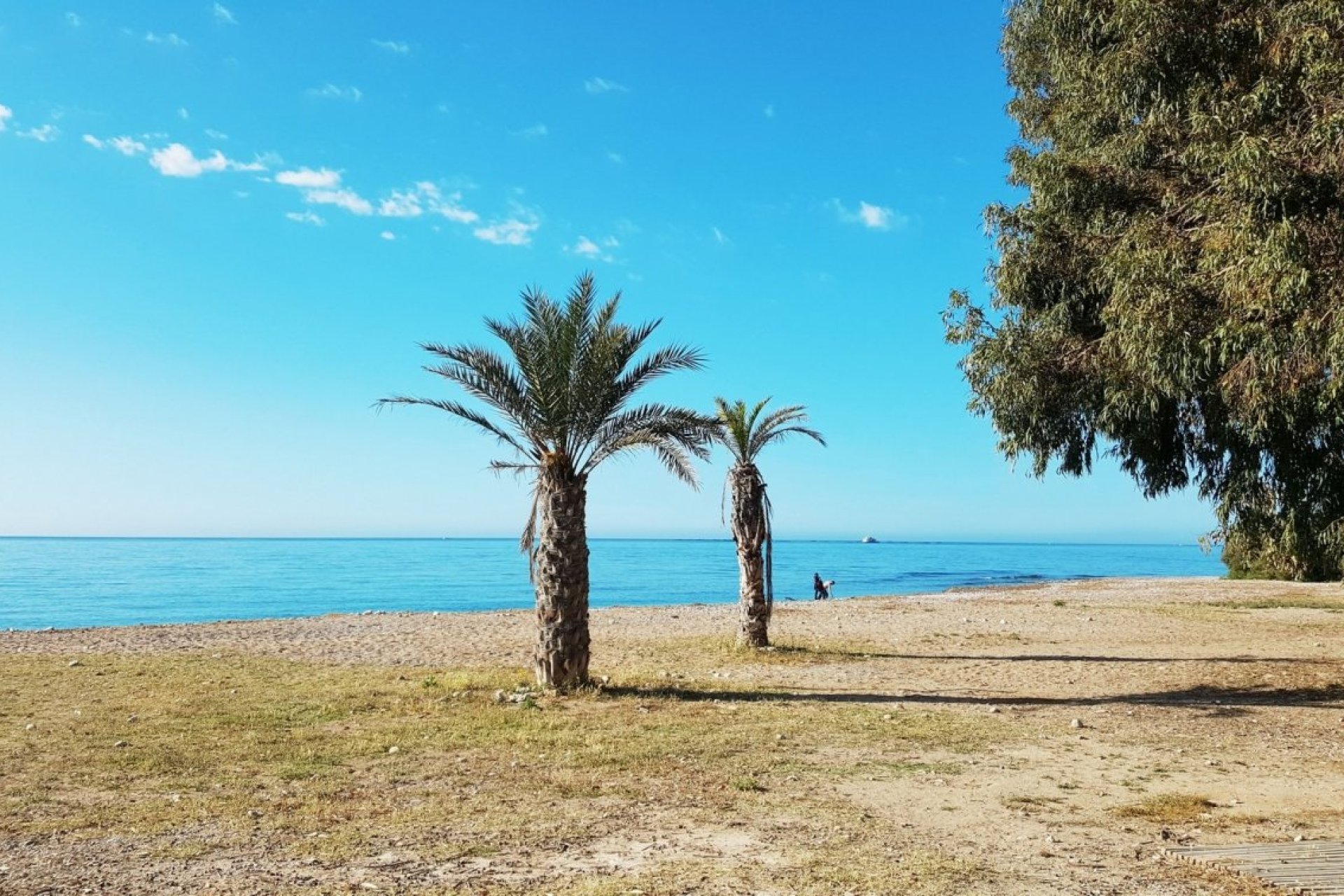 Nowy budynek - apartment -
Villajoyosa - Playa Les Torres