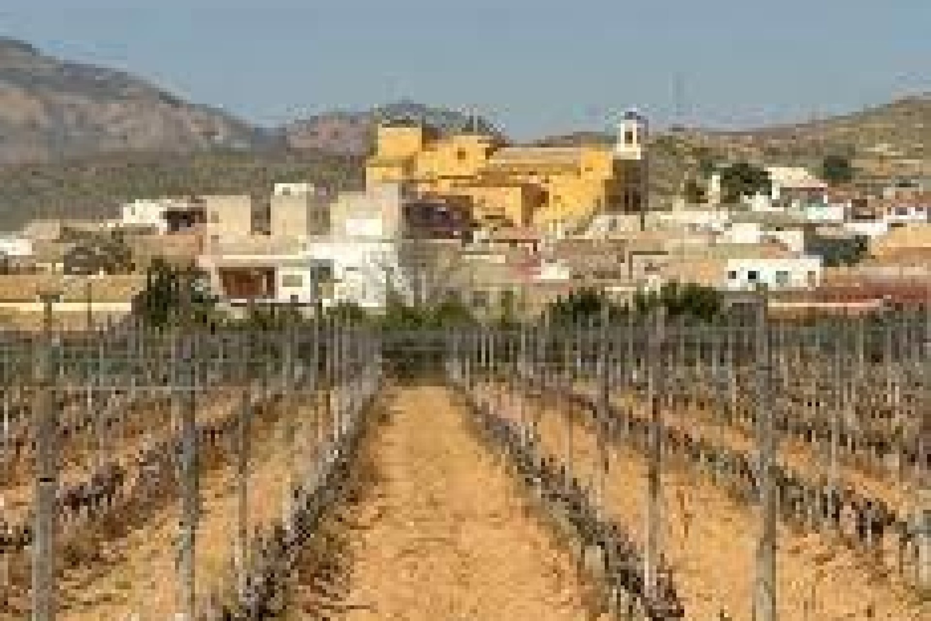 Nowy budynek - Bungalow -
Hondón de las Nieves - El Salero