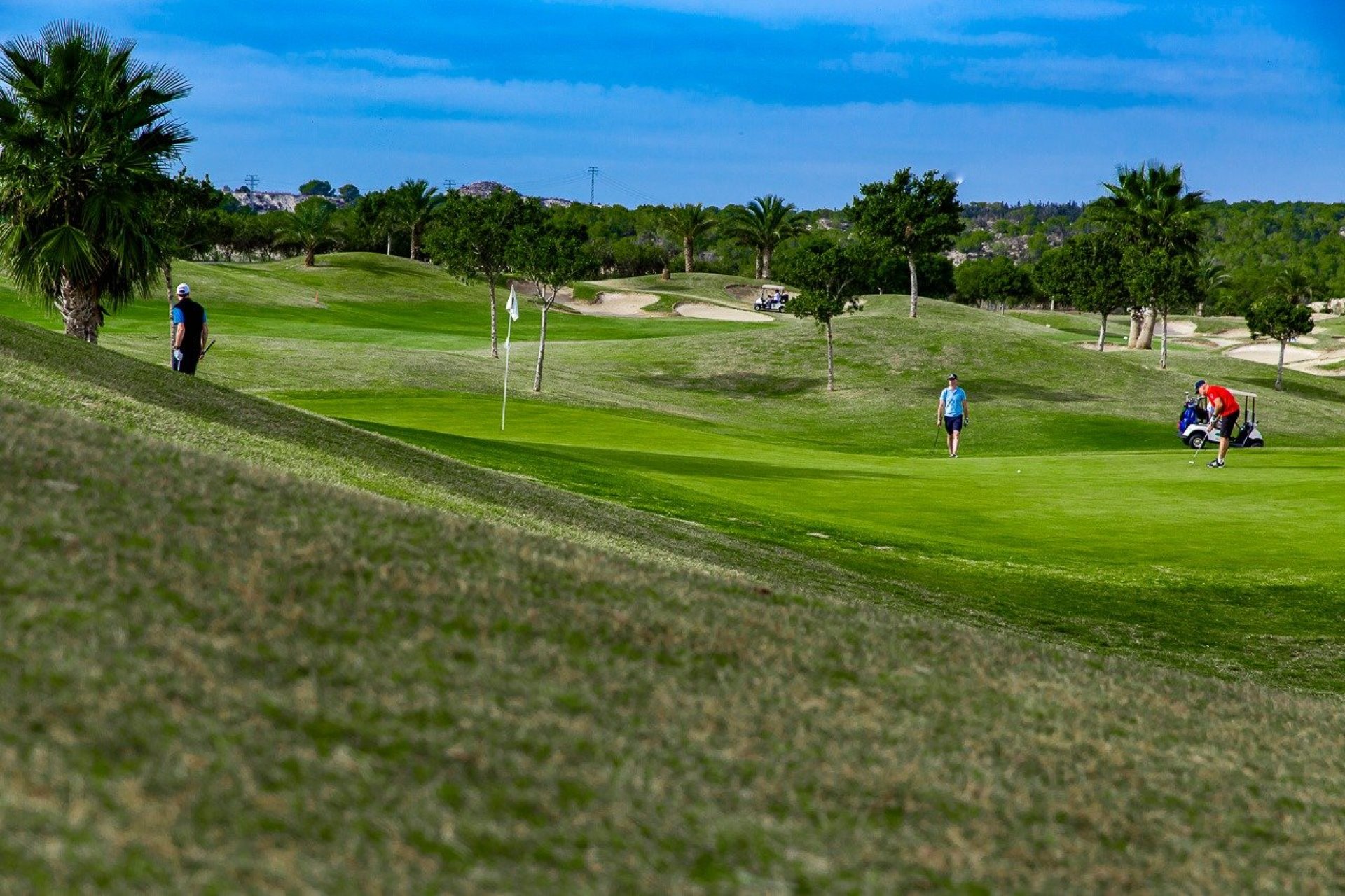 Nowy budynek - Bungalow -
Orihuela - Vistabella Golf