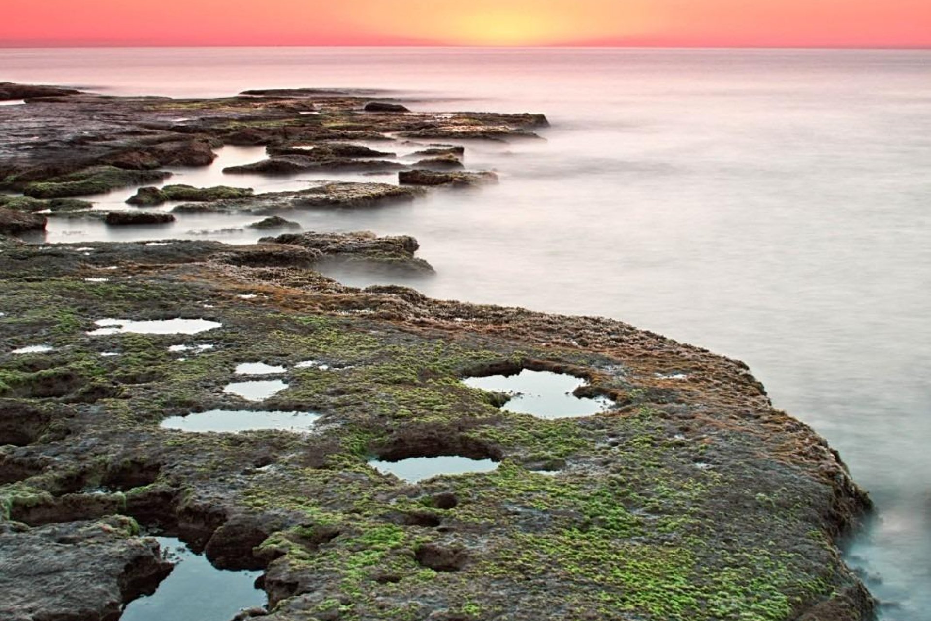 Nowy budynek - Bungalow -
Torrevieja - Altos del Sol