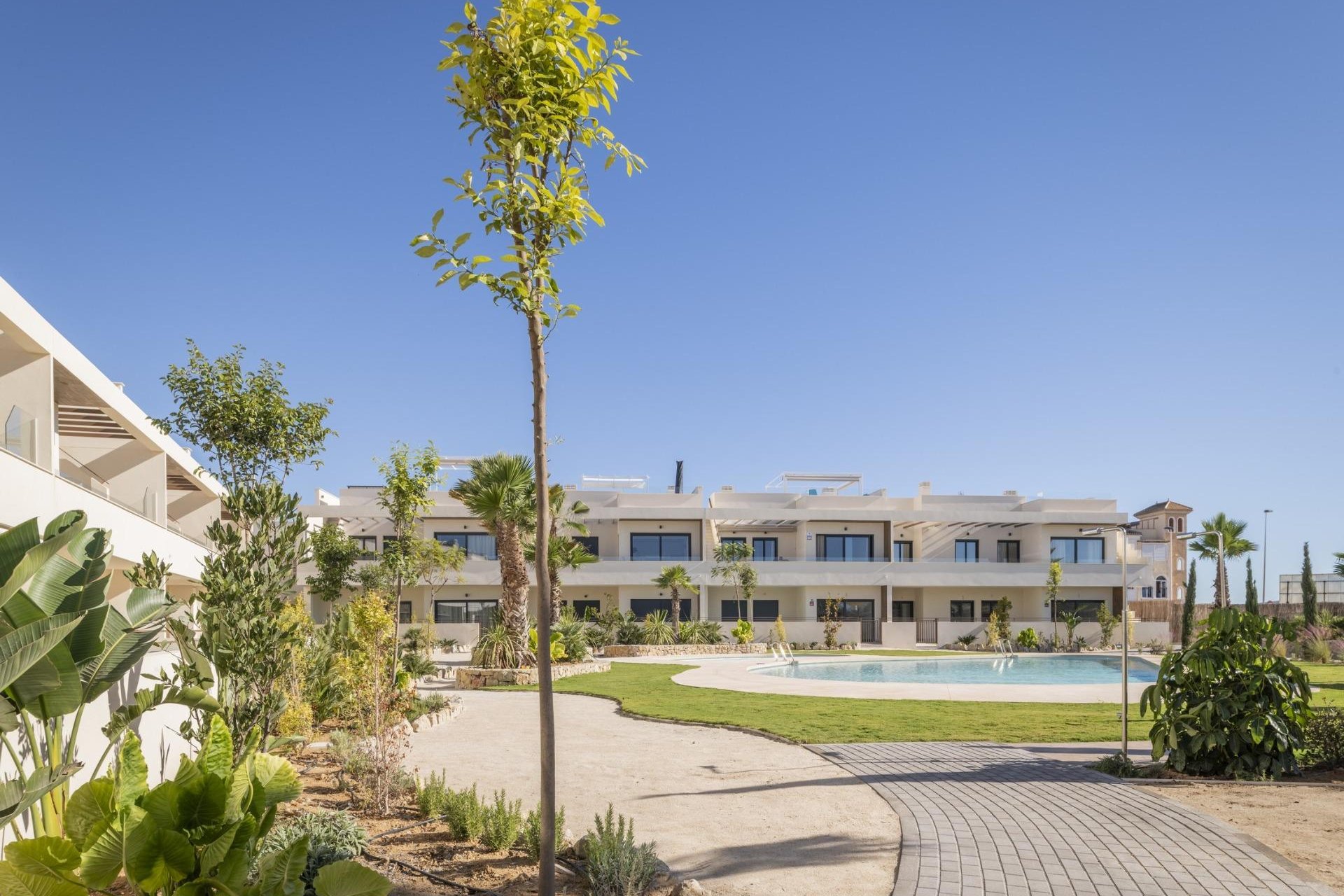 Nowy budynek - Bungalow -
Torrevieja - Villa Amalia