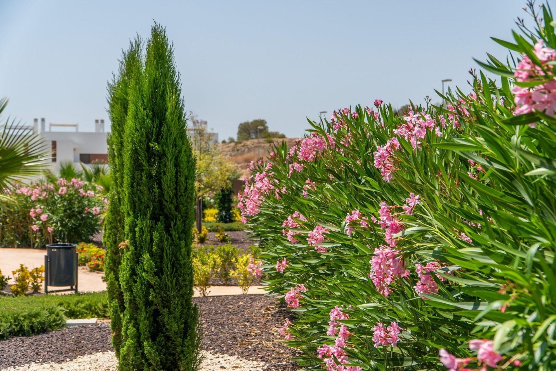 Nowy budynek - Top Floor Bungalow -
Orihuela - Vistabella Golf