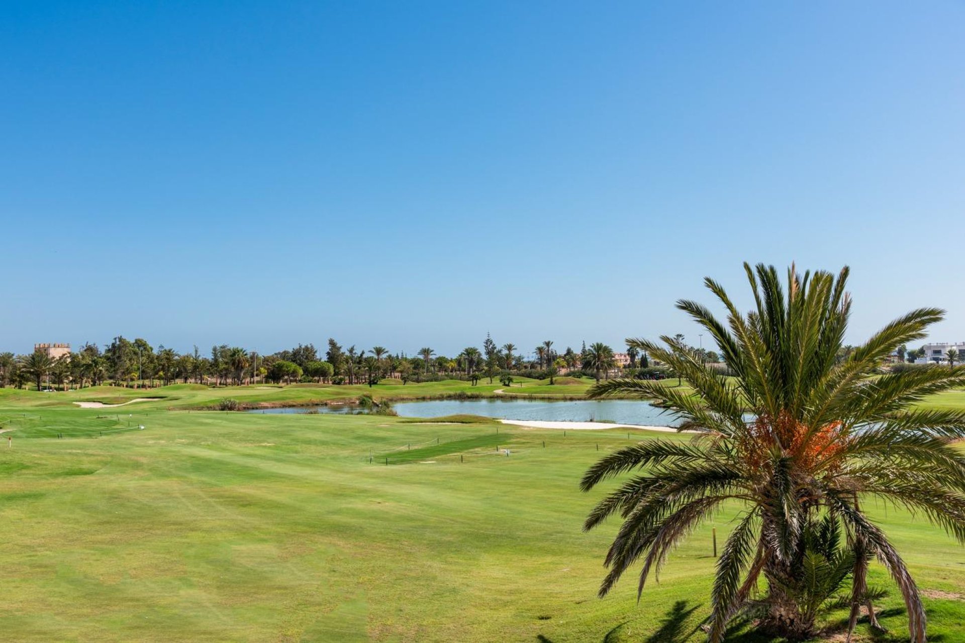 Nowy budynek - villa -
Los Alcazares - Serena Golf