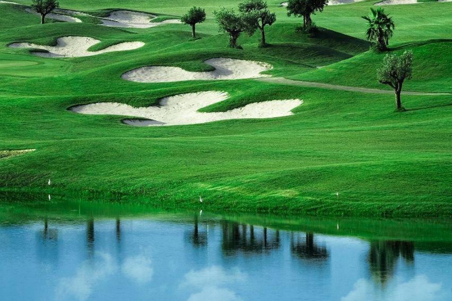 Nowy budynek - villa -
Orihuela - Vistabella Golf