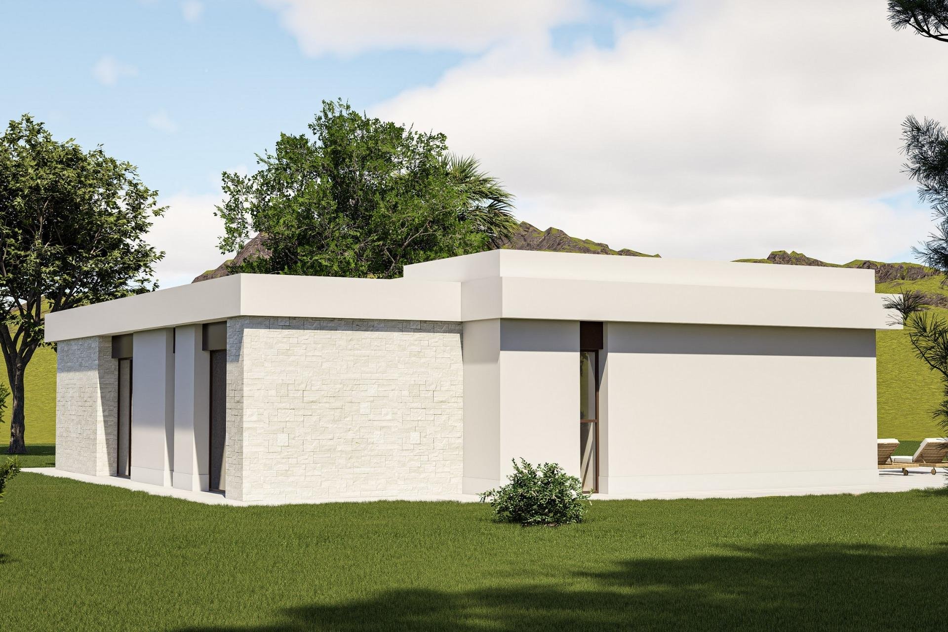 Nowy budynek - villa -
Pinoso - Lel