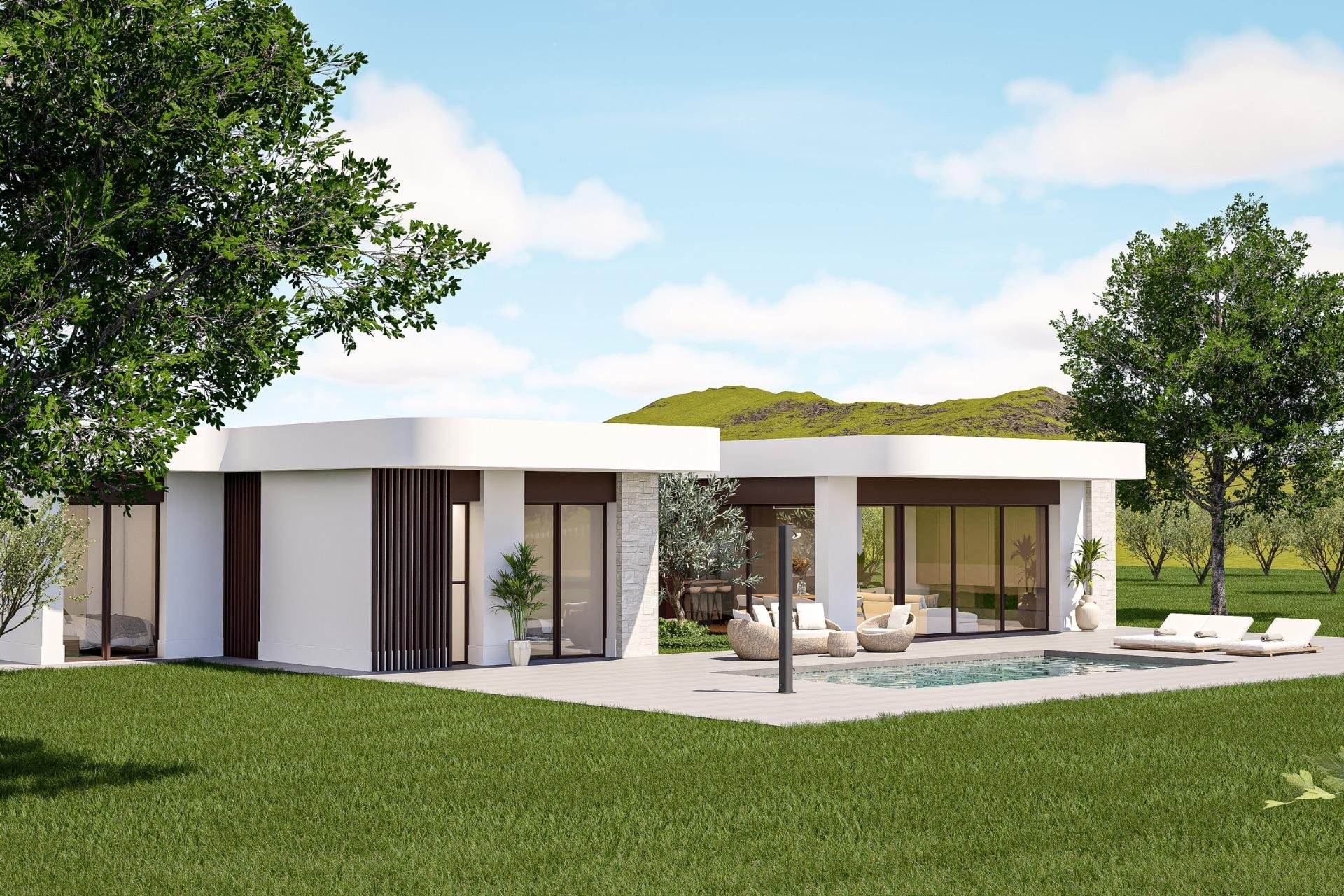 Nowy budynek - villa -
Pinoso - Lel