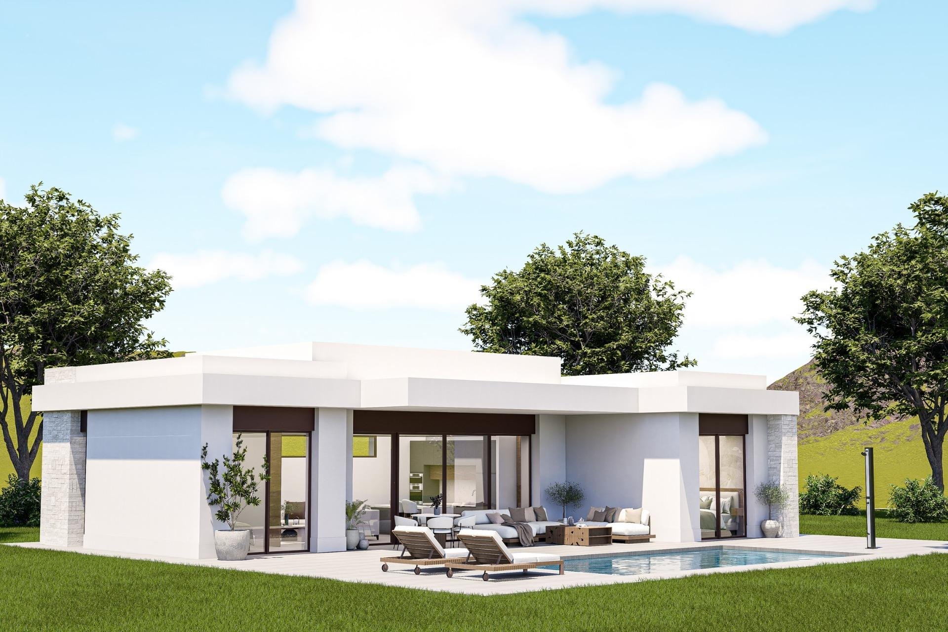 Nowy budynek - villa -
Pinoso - Lel