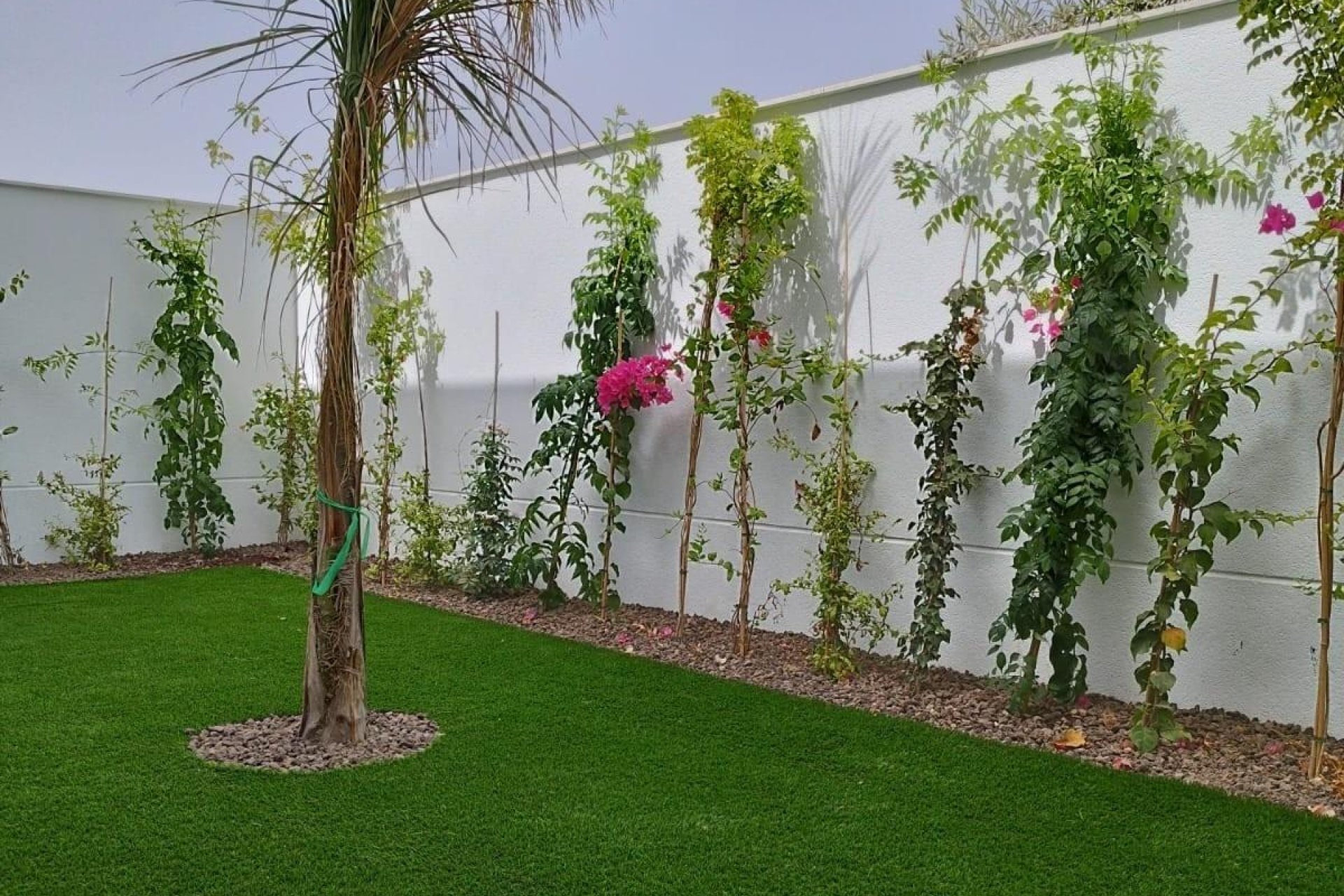 Nowy budynek - villa -
San Javier - Parque del doce