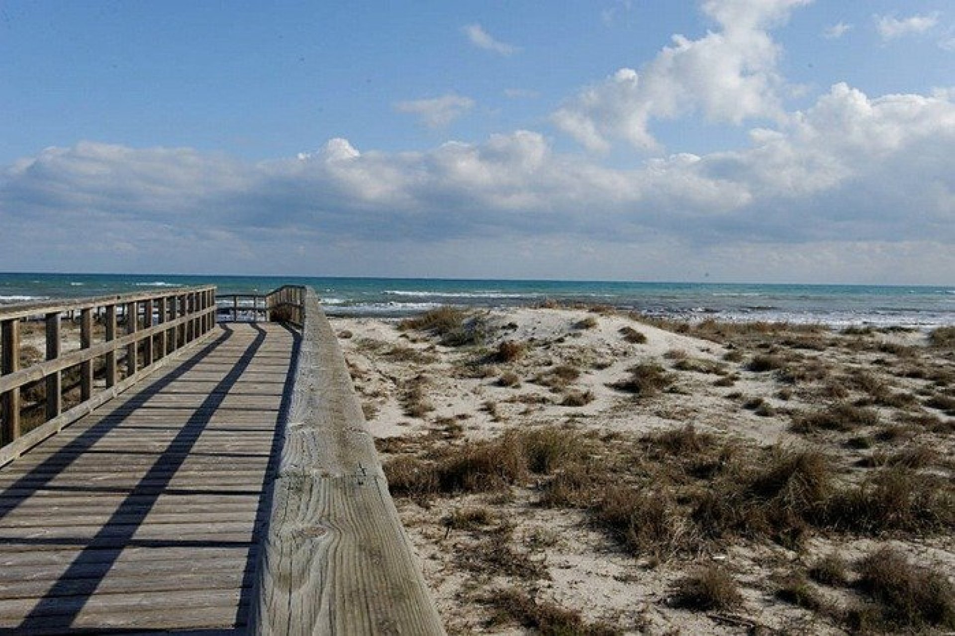 Nowy budynek - villa -
San Pedro del Pinatar - El Salero