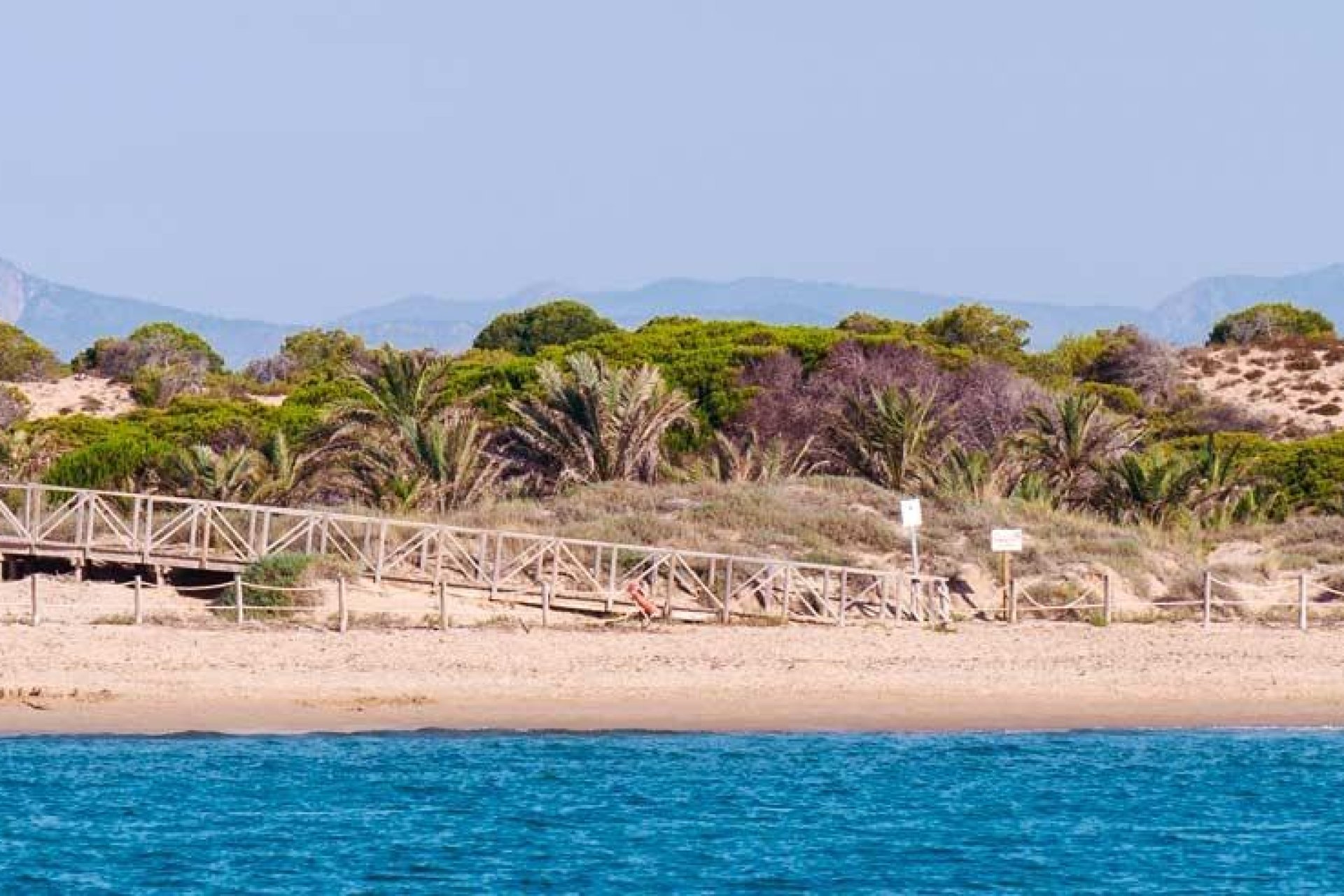 Obra nueva - apartment -
Guardamar del Segura - Pueblo