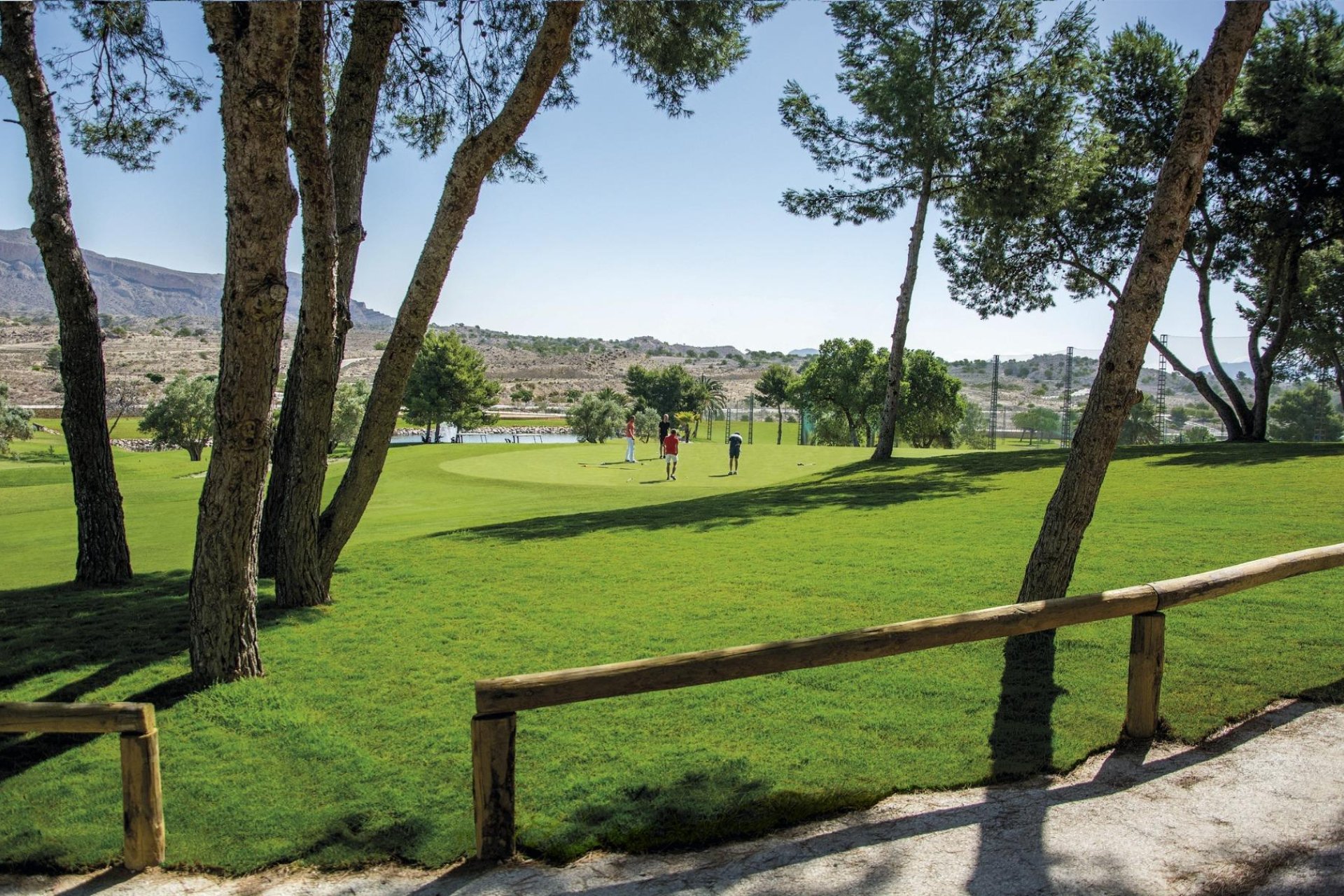 Obra nueva - apartment -
Monforte del Cid - Alenda Golf