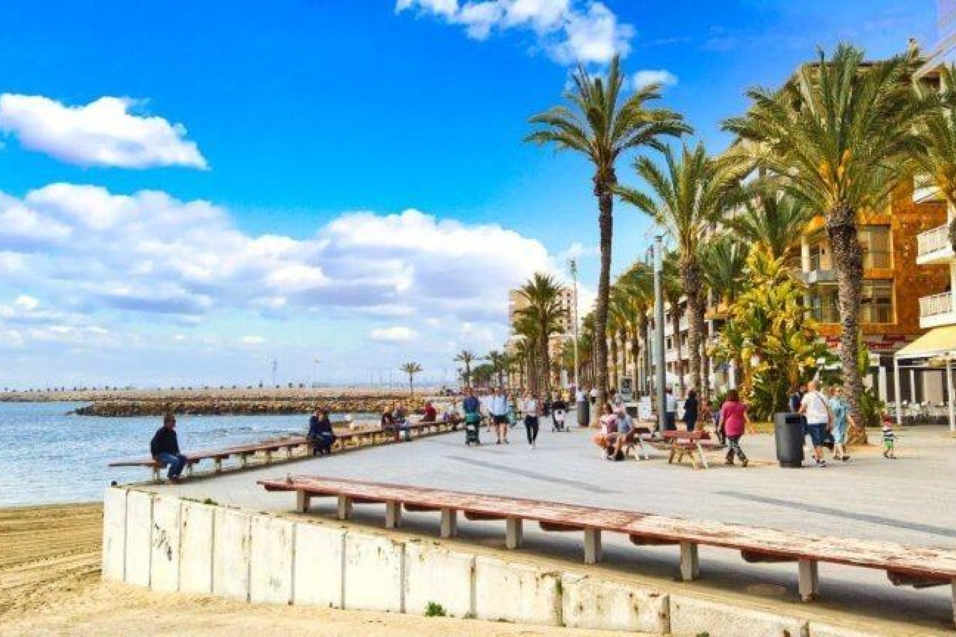 Obra nueva - Ático -
Torrevieja - Playa de los Locos