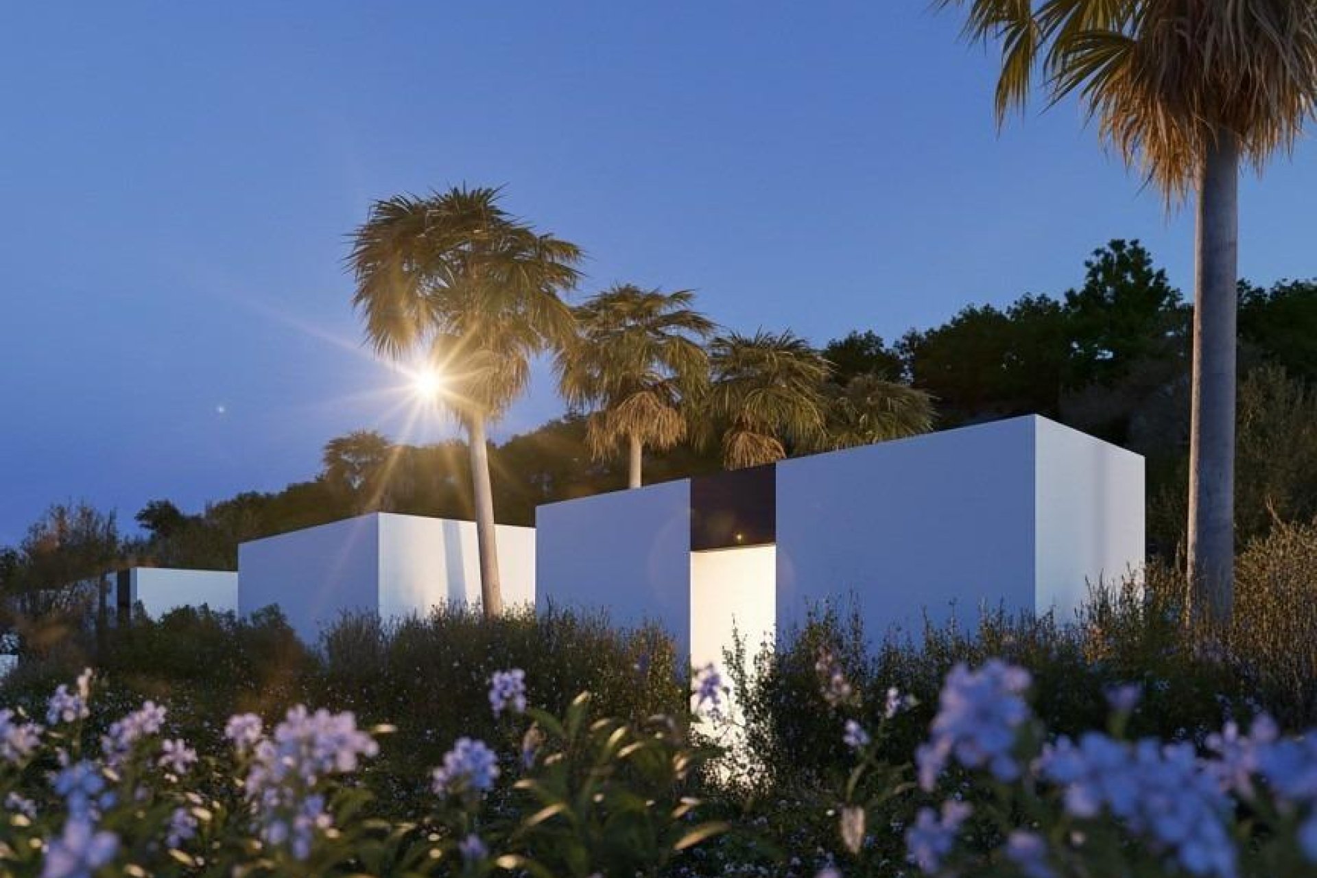 Obra nueva - villa -
Alfas del Pí - Barranc Fondo