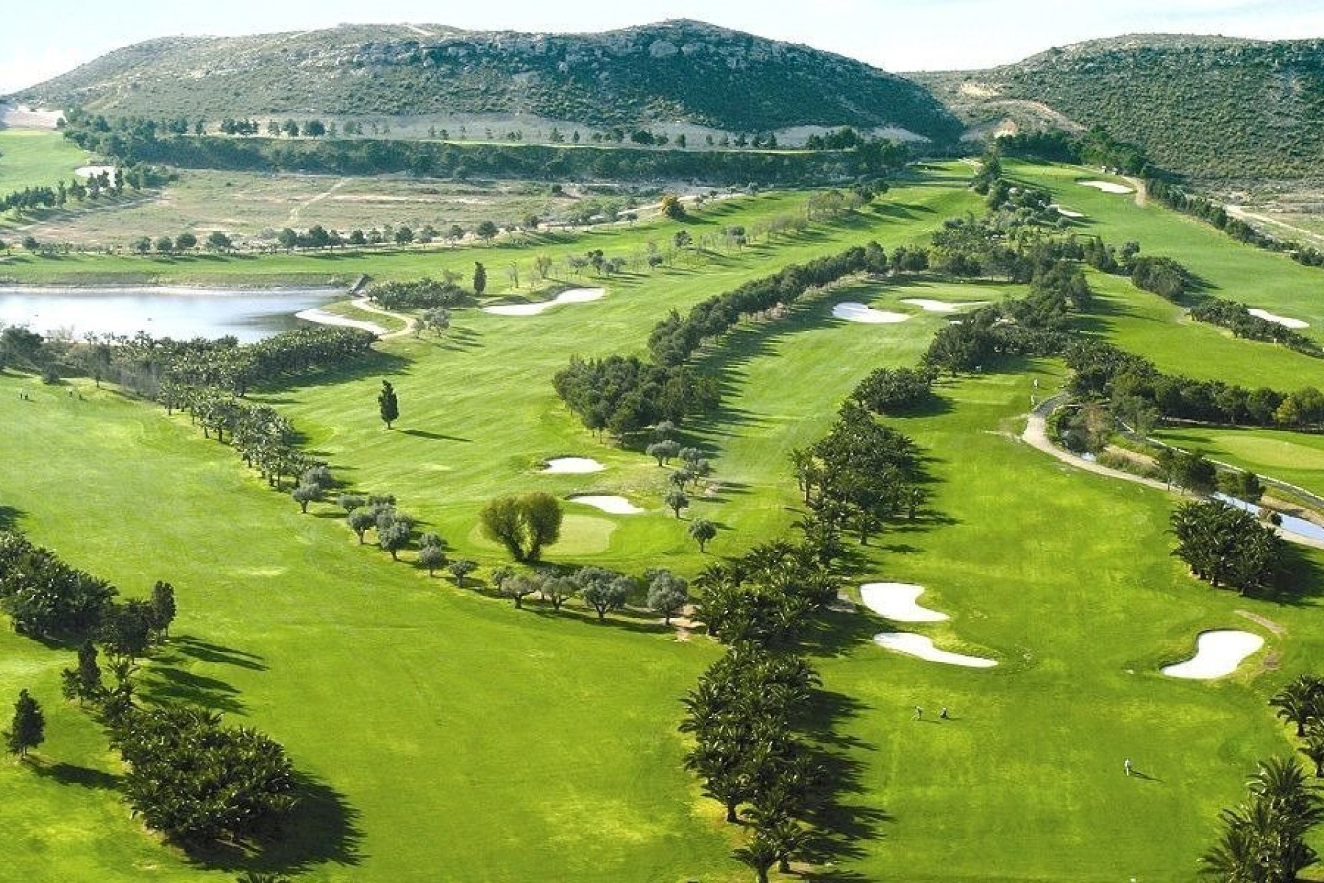 Obra nueva - villa -
Baños y Mendigo - Altaona Golf