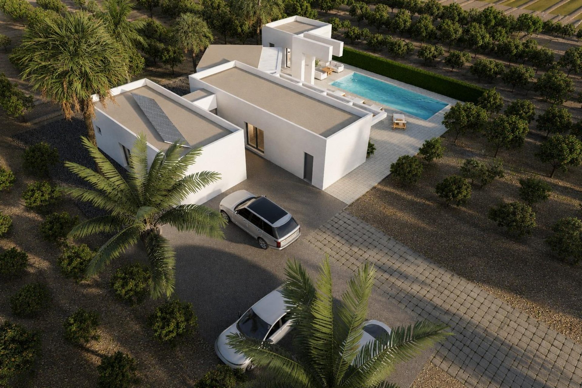 Obra nueva - villa -
Benejúzar - alta