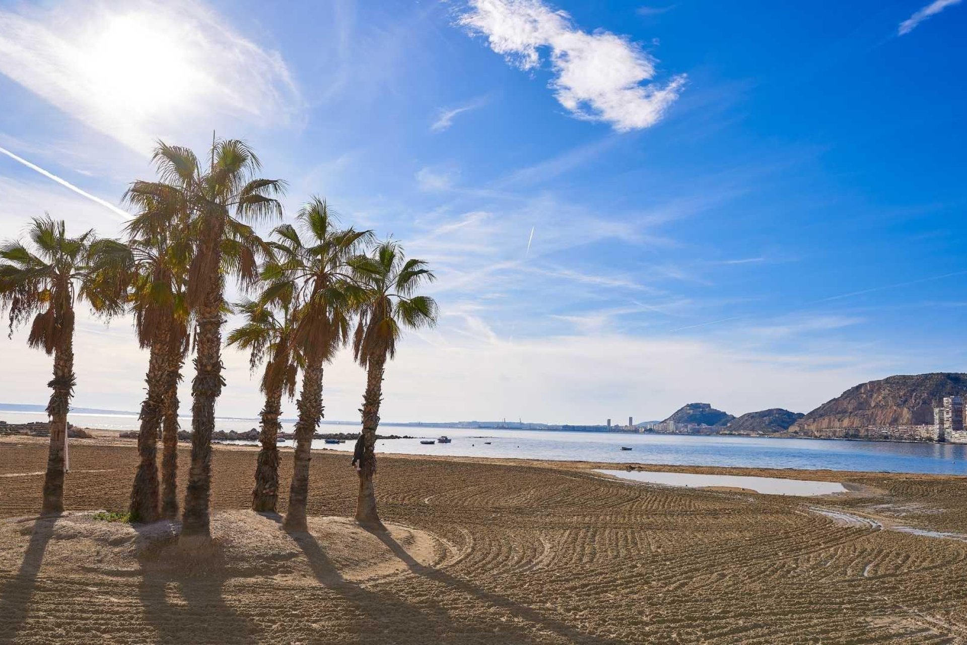 Obra nueva - villa -
Els Poblets - Partida Barranquets