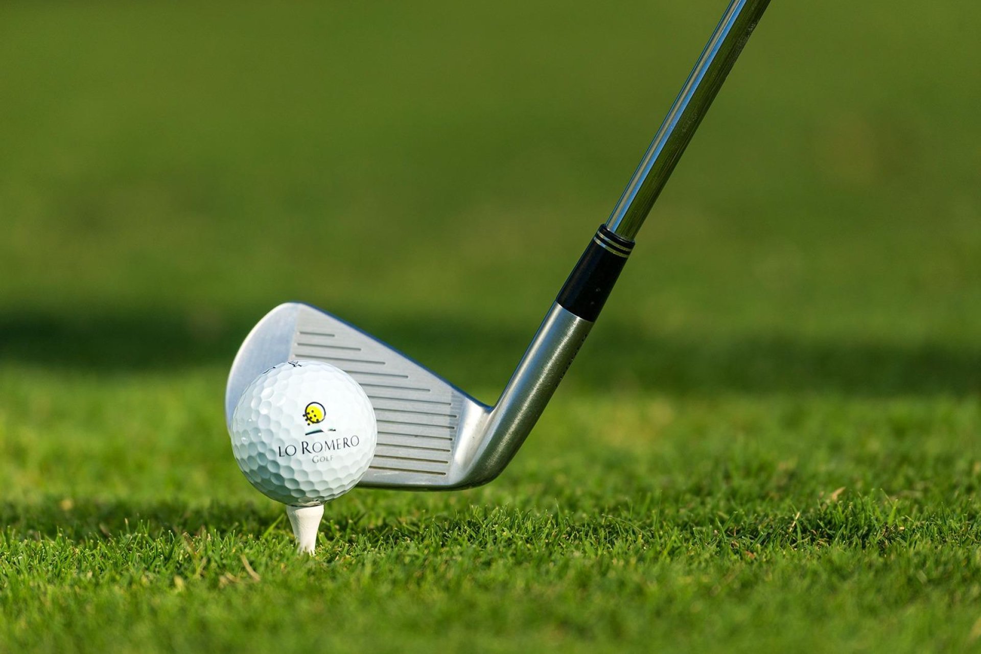 Obra nueva - villa -
Pilar de la Horadada - Lo Romero Golf