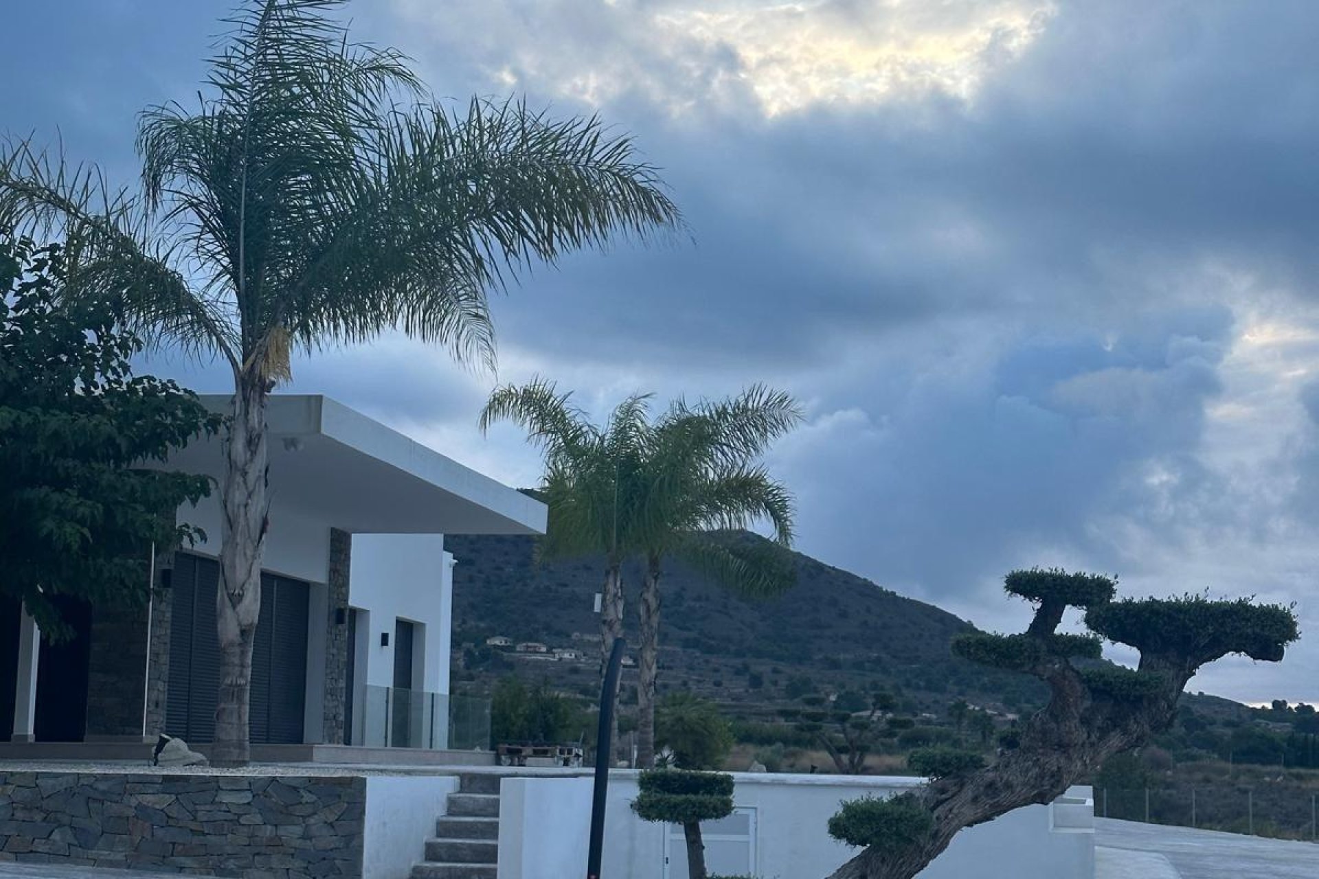 Obra nueva - villa -
Pinoso - Casas Pastor