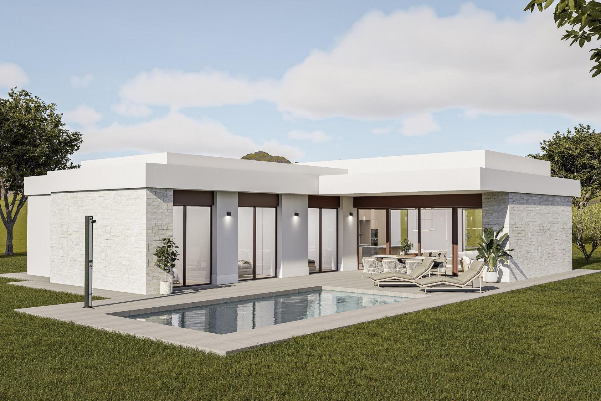 Obra nueva - villa -
Pinoso - Lel