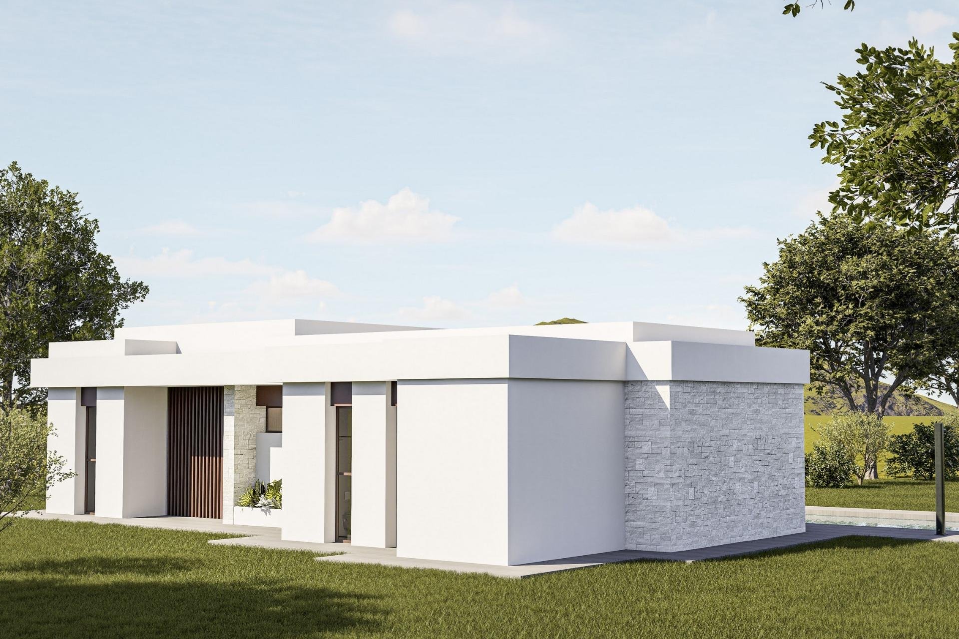 Obra nueva - villa -
Pinoso - Lel