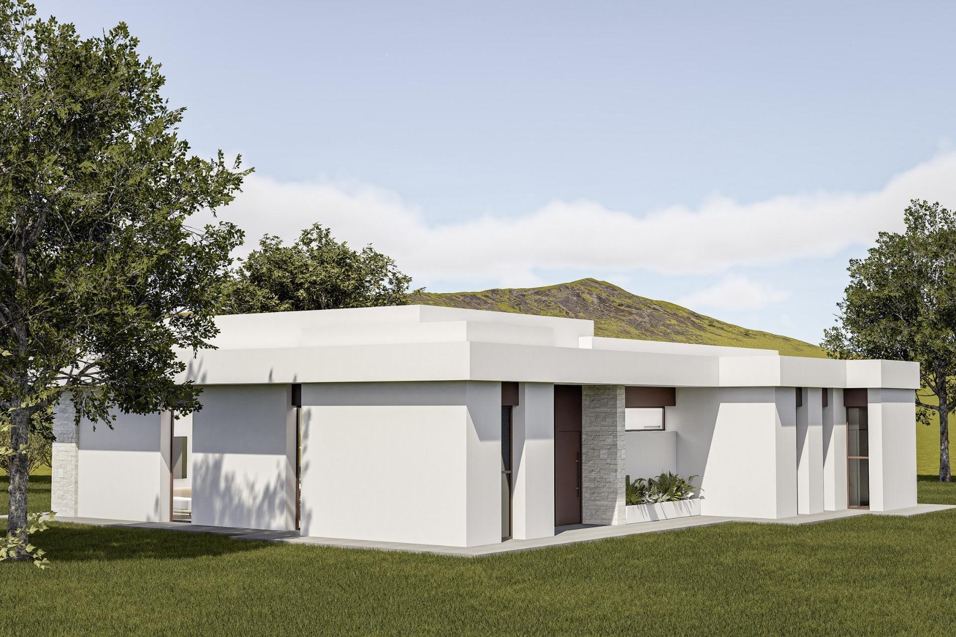 Obra nueva - villa -
Pinoso - Lel