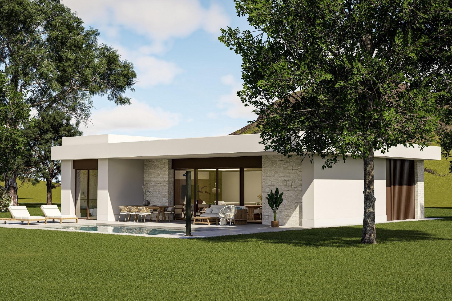 Obra nueva - villa -
Pinoso - Lel