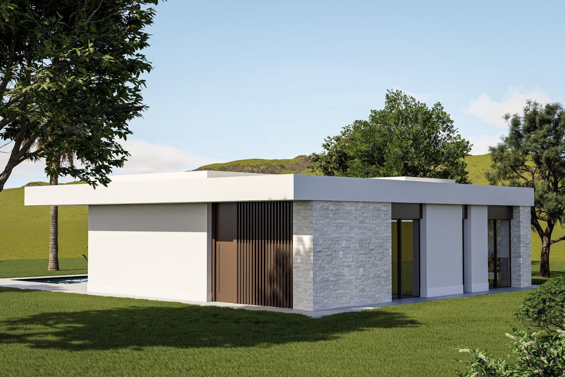 Obra nueva - villa -
Pinoso - Lel