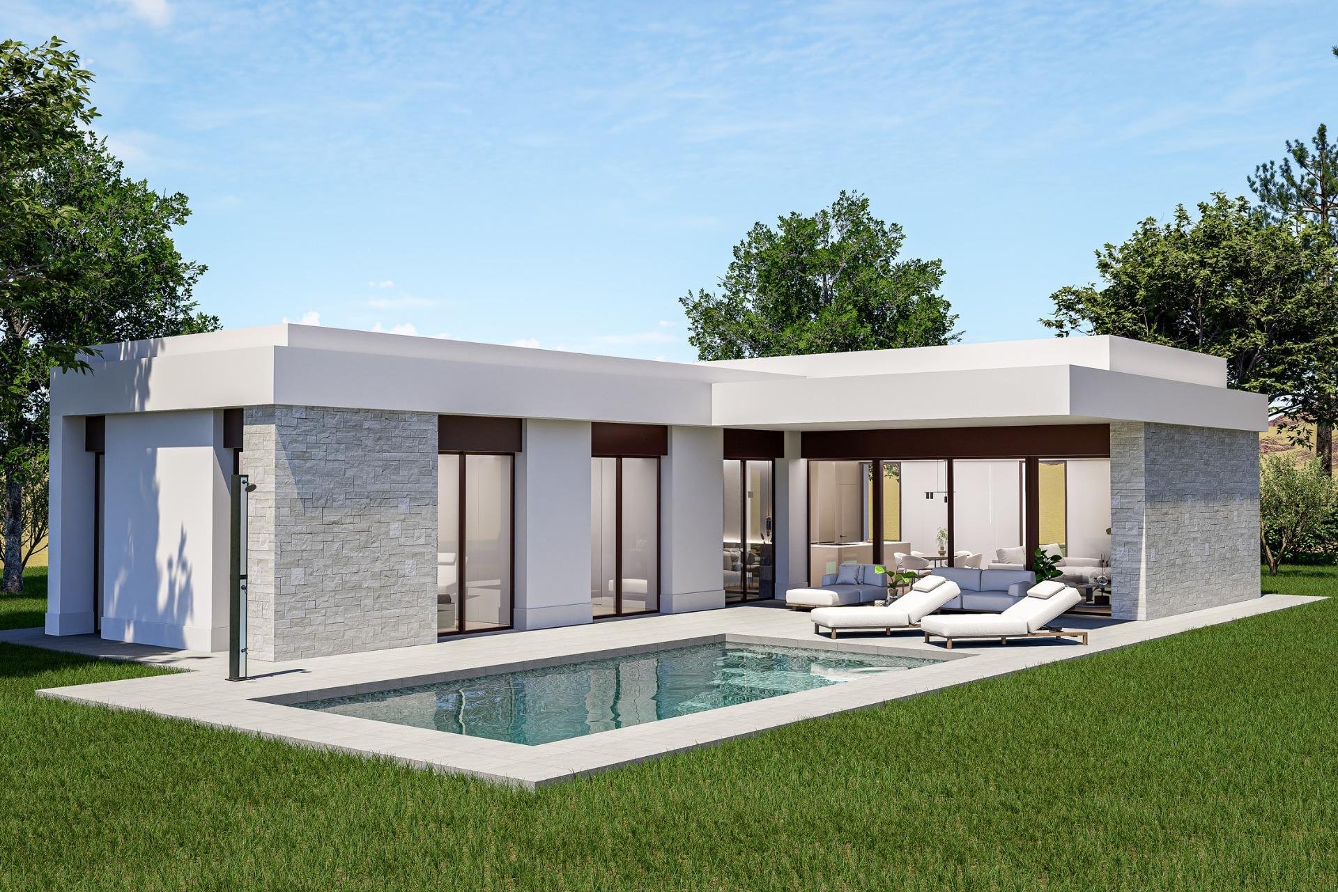 Obra nueva - villa -
Pinoso - Lel
