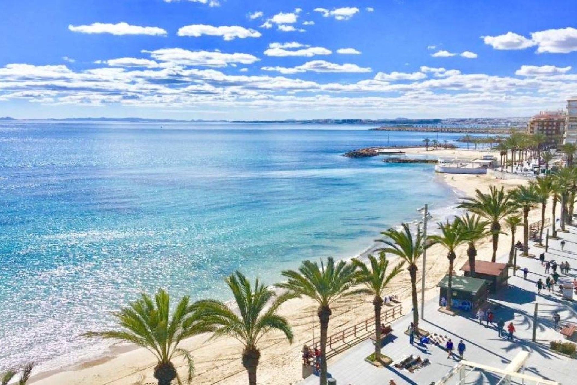 Obra nueva - villa -
Torrevieja - Lago Jardín II