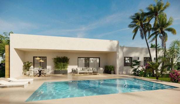 villa - New Build - Aspe - Poligono 19