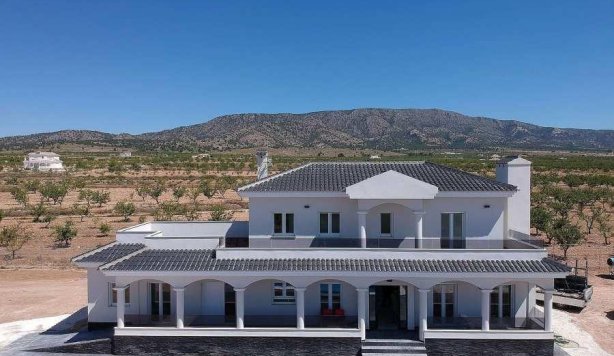 villa - New Build - Pinoso - Camino Del Prado