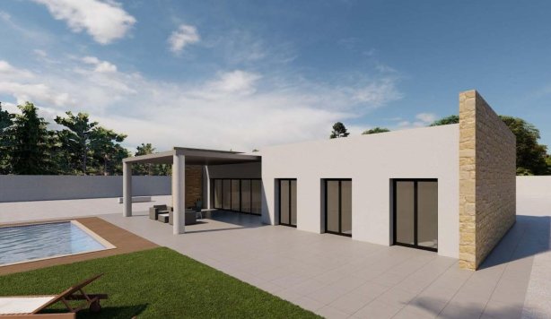 villa - New Build - Pinoso - Campo