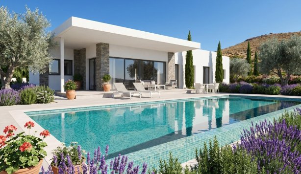 villa - New Build - Pinoso - Casas Pastor