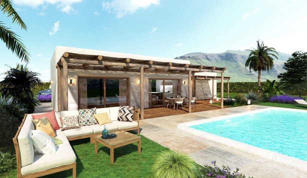 villa - Obra nueva - Pinoso - Rodriguillo