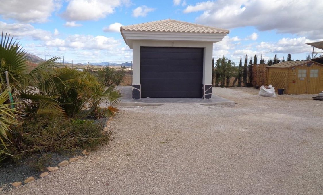 New Build - villa -
Pinoso - Camino Del Prado