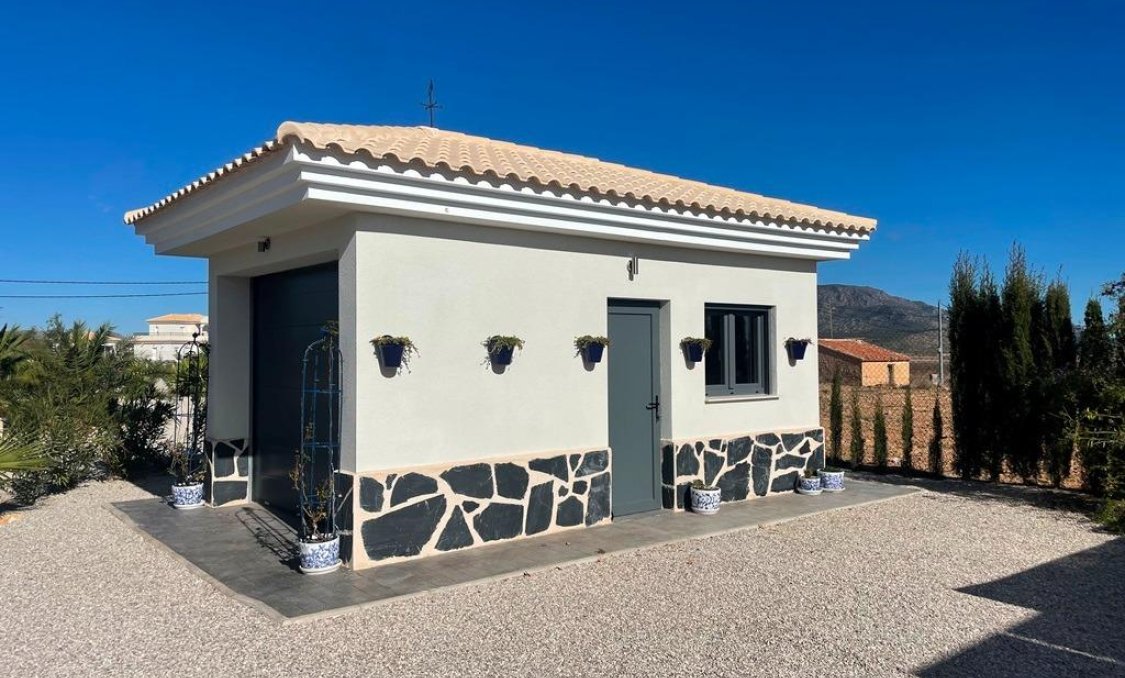 New Build - villa -
Pinoso - Camino Del Prado