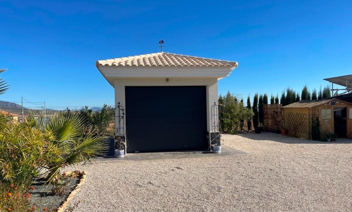 New Build - villa -
Pinoso - Camino Del Prado