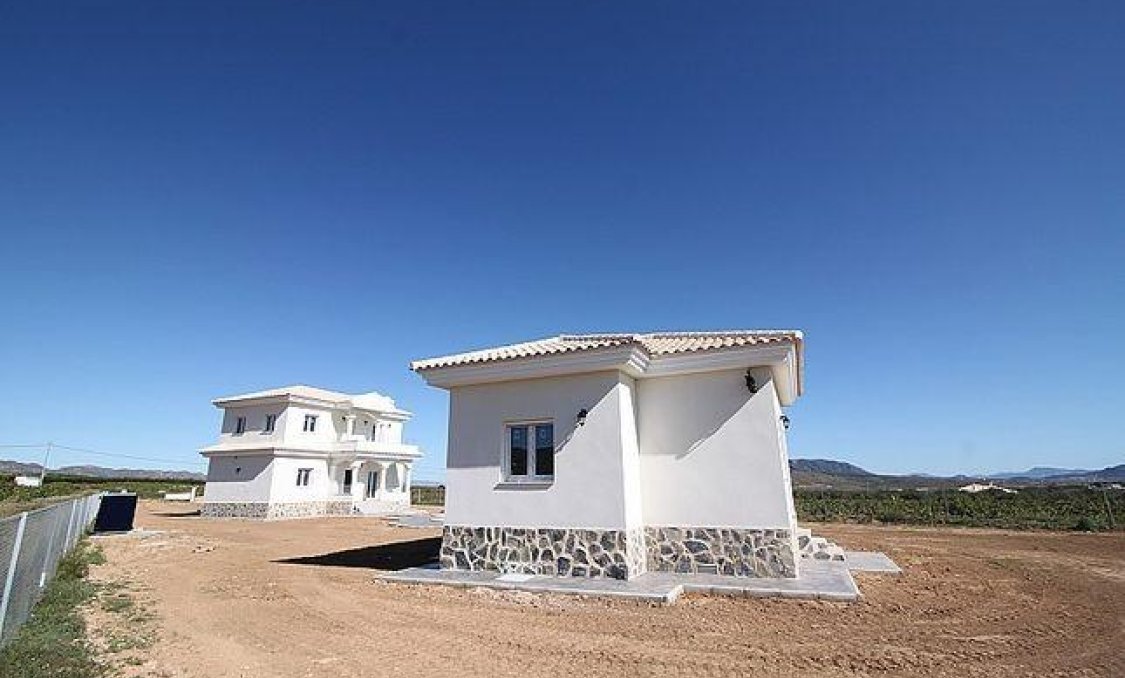 New Build - villa -
Pinoso - Camino Del Prado